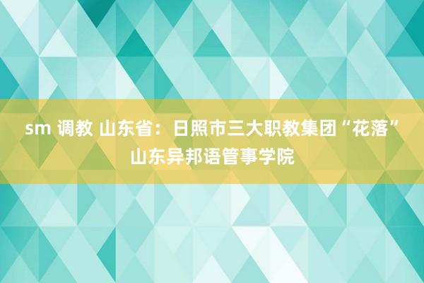 sm 调教 山东省:日照市三大职教集团“花落”山东异邦语管事学院