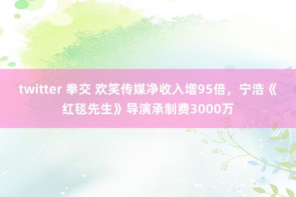 twitter 拳交 欢笑传媒净收入增95倍，宁浩《红毯先生》导演承制费3000万