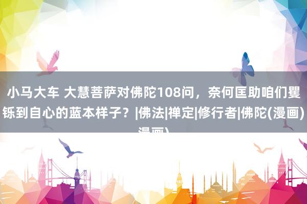 小马大车 大慧菩萨对佛陀108问，奈何匡助咱们矍铄到自心的蓝本样子？|佛法|禅定|修行者|佛陀(漫画)