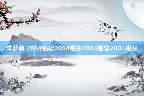 洋萝莉 2004铝板2004铝棒2004铝管2004铝线