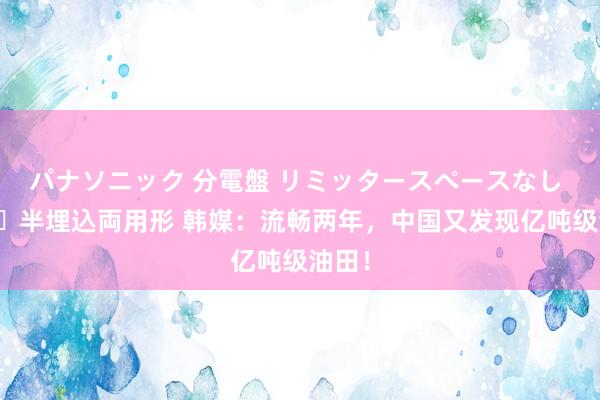 パナソニック 分電盤 リミッタースペースなし 露出・半埋込両用形 韩媒：流畅两年，中国又发现亿吨级油田！