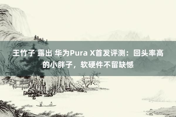 王竹子 露出 华为Pura X首发评测：回头率高的小胖子，软硬件不留缺憾