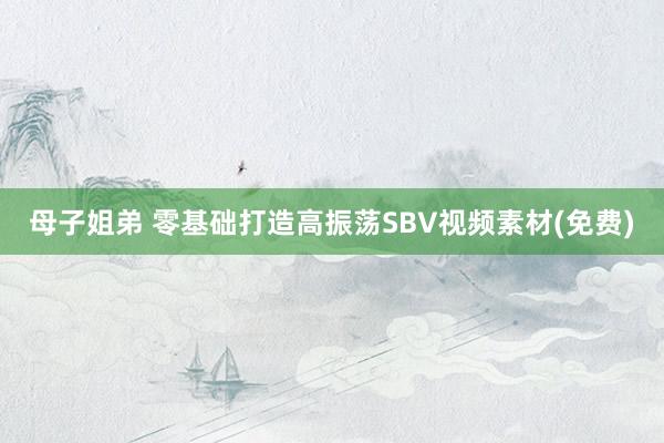 母子姐弟 零基础打造高振荡SBV视频素材(免费)