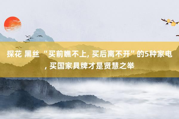 探花 黑丝 “买前瞧不上， 买后离不开”的5种家电， 买国家具牌才是贤慧之举