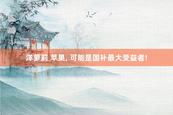 洋萝莉 苹果， 可能是国补最大受益者!
