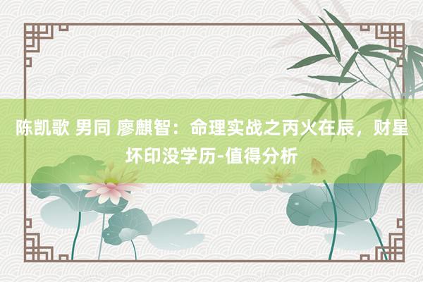 陈凯歌 男同 廖麒智：命理实战之丙火在辰，财星坏印没学历-值得分析