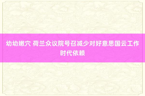 幼幼嫩穴 荷兰众议院号召减少对好意思国云工作时代依赖
